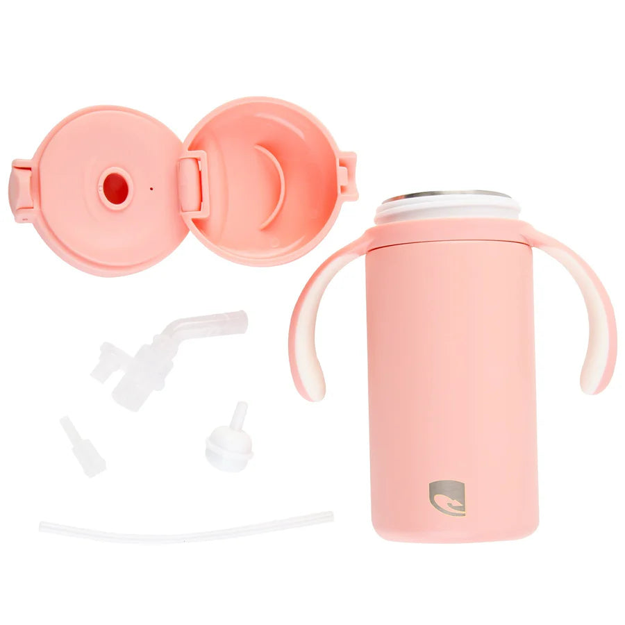 Lizzard Hatchling Kids Flask 280ml, Assorted