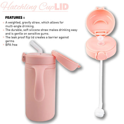 Lizzard Hatchling Kids Flask 280ml, Assorted